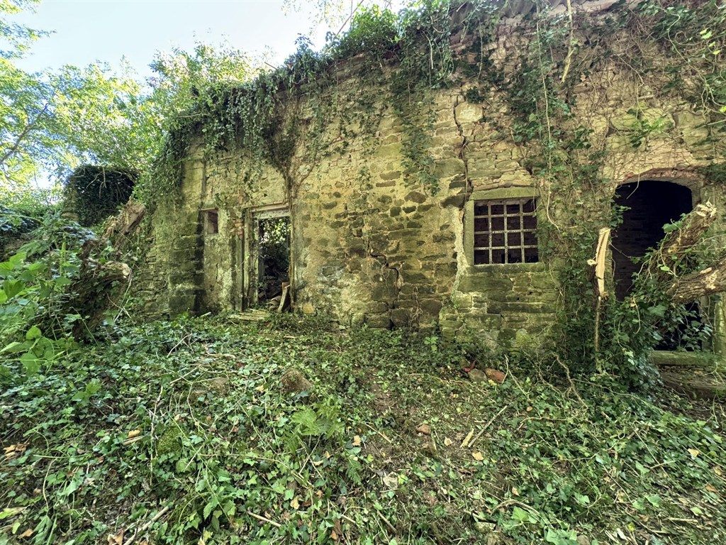 VENDESI COLONICA DA RESTAURARE  IN VICCHIO LOCALITA' VIGNALE